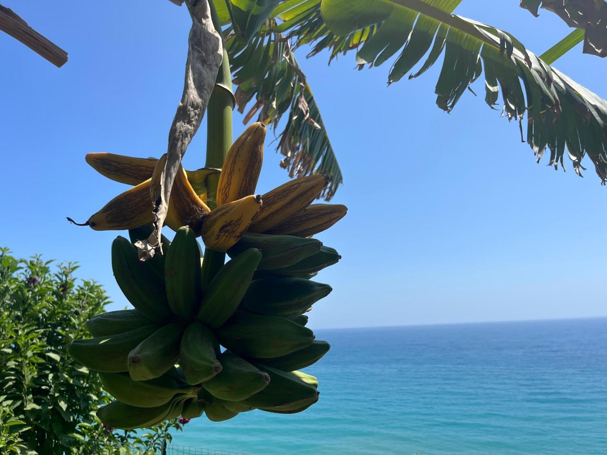 Willa Casa Monnalisa - Calandre Sabbie Oro Ventimiglia Zewnętrze zdjęcie